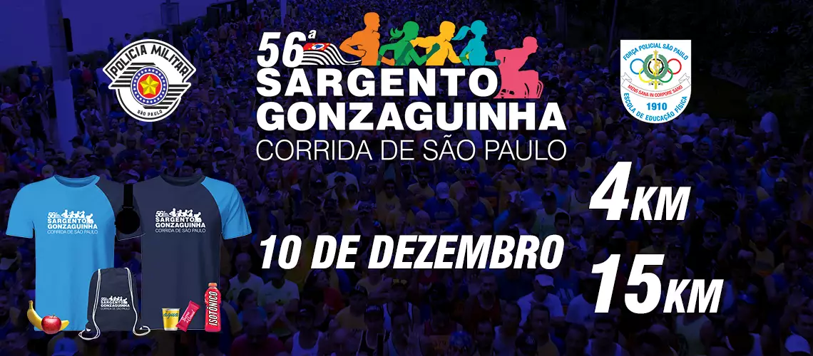 Banner Sargento Gonzaguinha